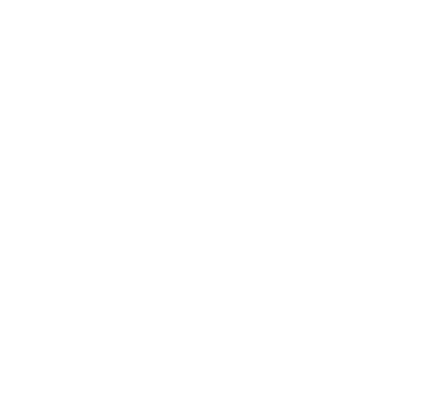 Monstera Zwei Blätter Weiß