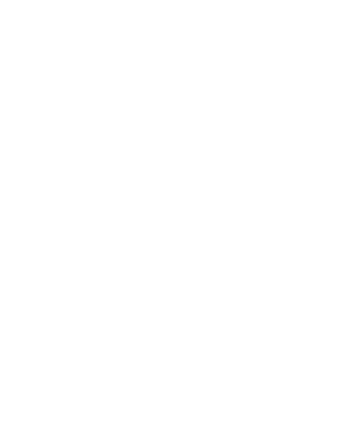 Monstera Blatt Weiß
