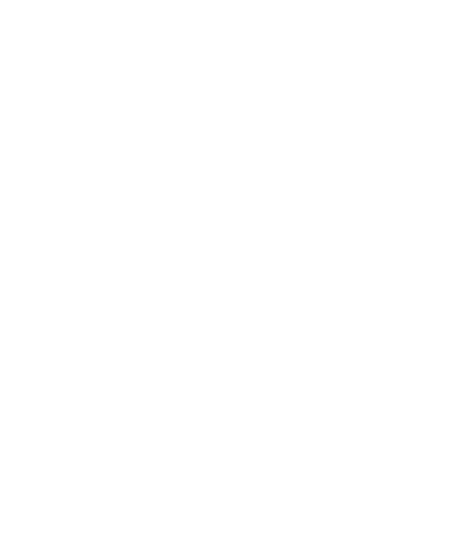 Monstera im Topf Weiß