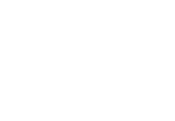 Roadbike Rennrad Linienkunst